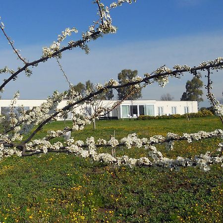 Costantucci Country House Fiumicino Exterior photo